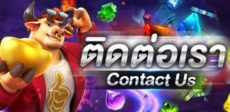 ติดต่อเรา